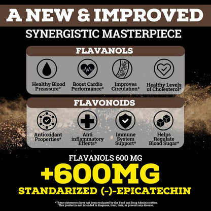 High-Flavanol Cocoa Powder for Daily Energy, Circulation & Performance Support