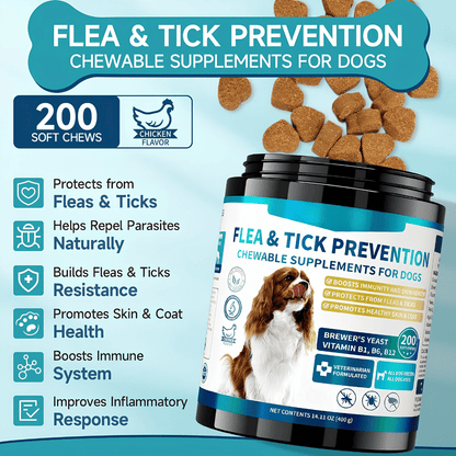 Natural Flea & Tick Prevention Chews for Dogs - 200 Chicken-Flavored Soft Chews