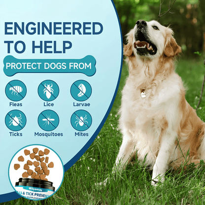 Natural Flea & Tick Prevention Chews for Dogs - 200 Chicken-Flavored Soft Chews