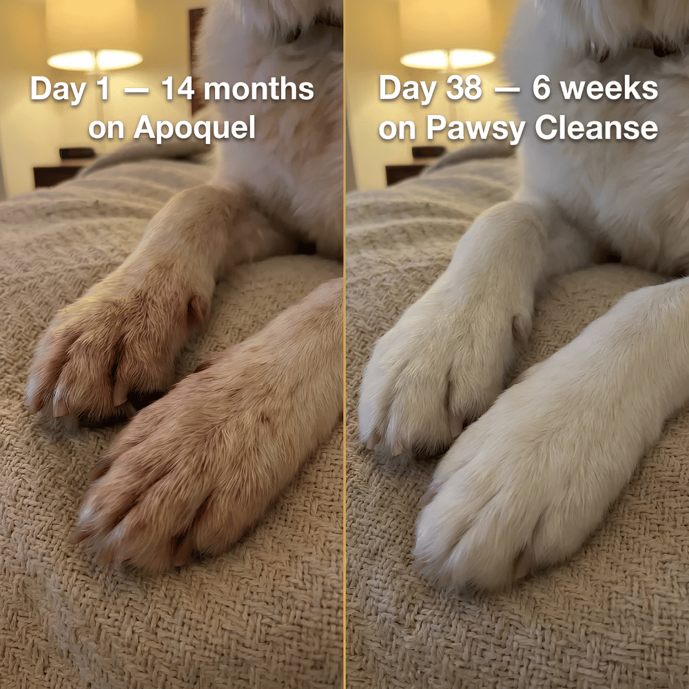 Parasite Cleanse Drops for Dogs - Natural 21-Day Gut Cleanse